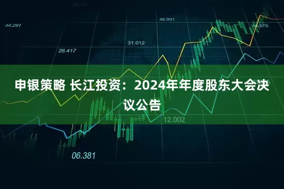 申银策略 长江投资：2024年年度股东大会决议公告