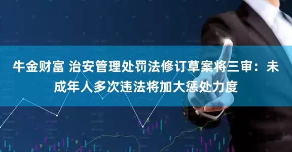 牛金财富 治安管理处罚法修订草案将三审：未成年人多次违法将加大惩处力度