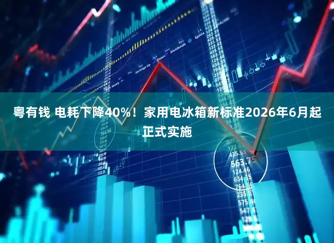 粤有钱 电耗下降40%！家用电冰箱新标准2026年6月起正式实施