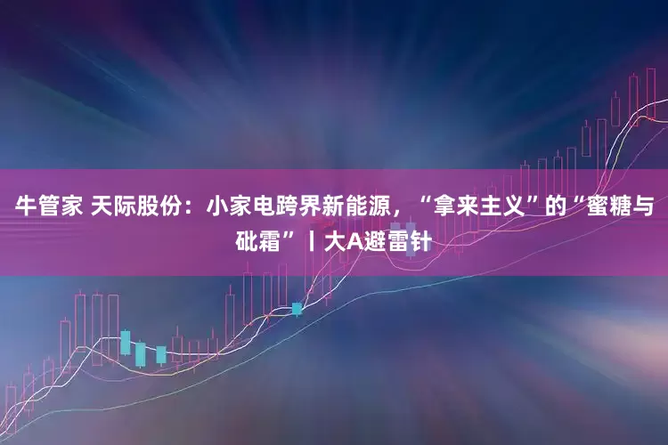 牛管家 天际股份：小家电跨界新能源，“拿来主义”的“蜜糖与砒霜”丨大A避雷针